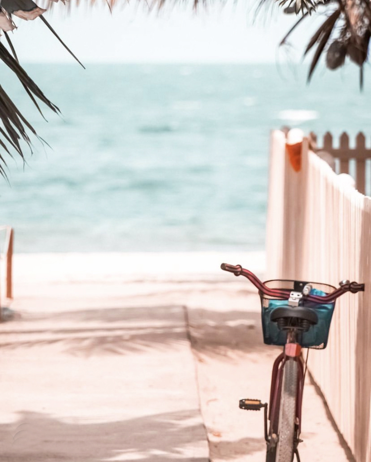 Gallery - Henrosa Hotel South Beach